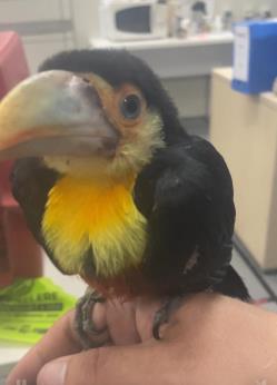 WhatsApp Image 2026-01-09 at 11.28.35