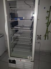 IMG-20210305-WA0175