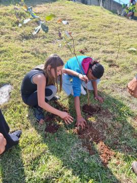 54af1cae-1696-4f0e-99f6-c30769f93040