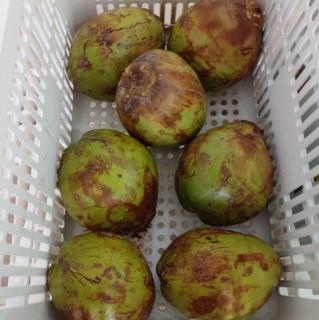 322381231_1191794374764789_7759641484838820497_n