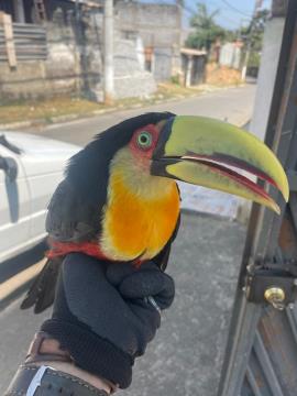 WhatsApp Image 2026-03-18 at 07.51.48 (3)