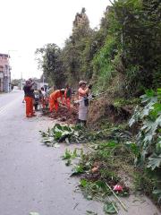 242601234_264604768999376_5678565016558917687_n