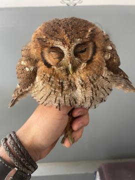 WhatsApp Image 2026-03-18 at 07.51.48