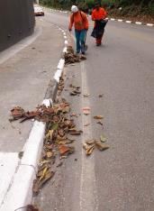 WhatsApp Image 2023-09-29 at 15.41.54