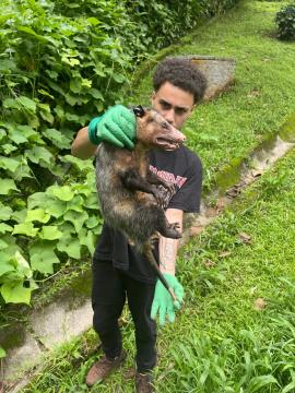 WhatsApp Image 2026-03-18 at 07.51.49 (2)