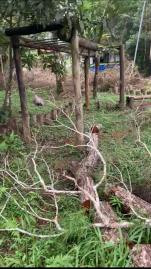 IMG-20260529-WA0082