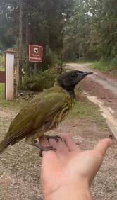 WhatsApp Image 2026-03-18 at 07.51.49 (3)