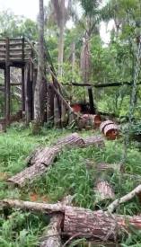 IMG-20260529-WA0084