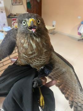 WhatsApp Image 2026-03-18 at 07.51.49