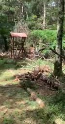 IMG-20260529-WA0086