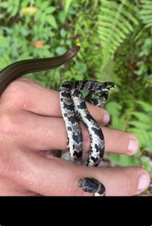 WhatsApp Image 2026-03-18 at 07.52.52