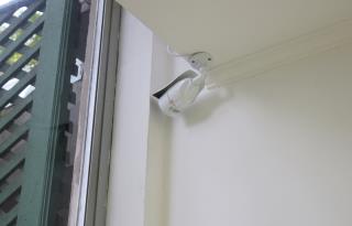 1-IMG_1548