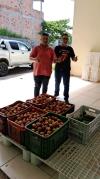 WhatsApp Image 2024-01-15 at 14.02.29 (2)