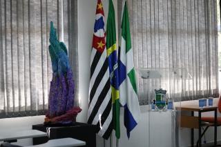 IMG_9250