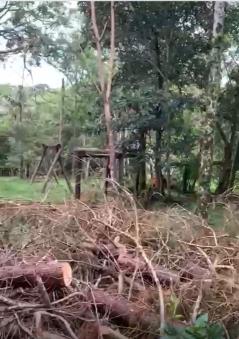 IMG-20260529-WA0088