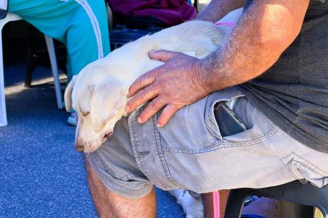 IMG-20251023-WA0073