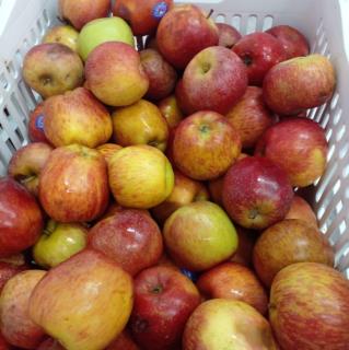 322676551_1553074391862016_456906012647291127_n