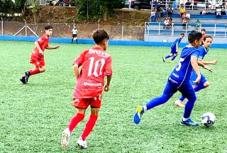 Imagem do WhatsApp de 2024-12-26 à(s) 15.37.35_99f39bab