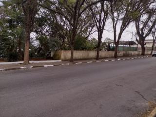 WhatsApp Image 2021-07-22 at 07.46.08