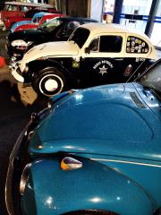 IMG_20250221_221629