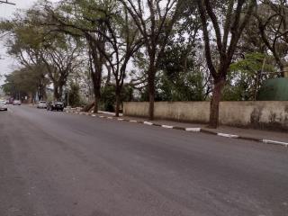 WhatsApp Image 2021-07-22 at 07.46.09 (1)