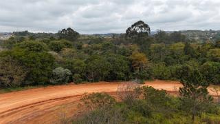 dji_fly_20250724_145828_0042_1754078413594_photo