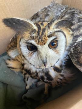 WhatsApp Image 2026-03-18 at 07.51.46 (2)