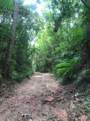 CICLO (4)