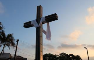 1-IMG_8533