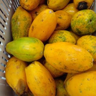 322719535_1291459584756040_1740494273912041776_n