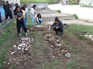 educação ambiental (3)