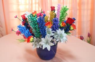 1-IMG_8436