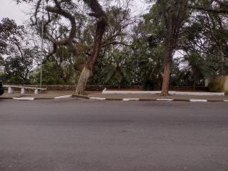 WhatsApp Image 2021-07-22 at 07.46.09