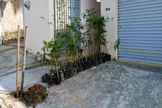 IMG-20250602-WA0203