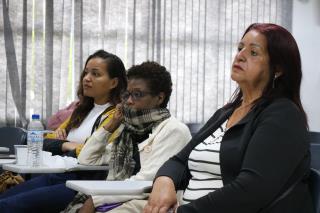 sebrae delas (36)