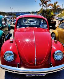 IMG-20251006-WA0129