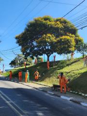 WhatsApp Image 2023-12-12 at 17.22.39 (1)