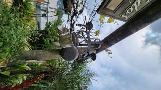 WhatsApp Image 2024-10-31 at 14.18.50 (7)
