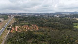 dji_fly_20250724_150026_0044_1754078413063_photo
