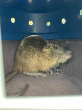 WhatsApp Image 2026-03-18 at 07.51.46 (3)