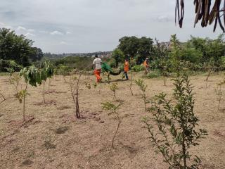 IMG-20210317-WA0049