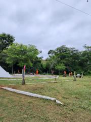 WhatsApp Image 2023-12-12 at 17.17.17 (1)