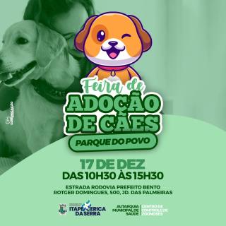 parque cães (2)