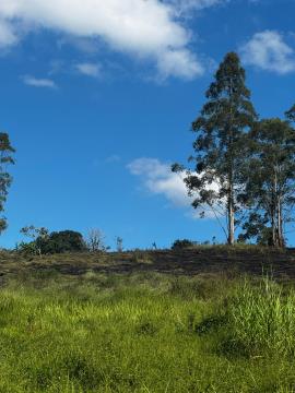 WhatsApp Image 2026-04-16 at 16.51.27 (1)