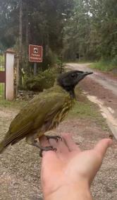 WhatsApp Image 2026-03-18 at 07.51.46