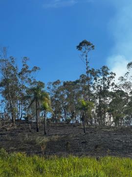 WhatsApp Image 2026-04-16 at 16.51.27 (2)