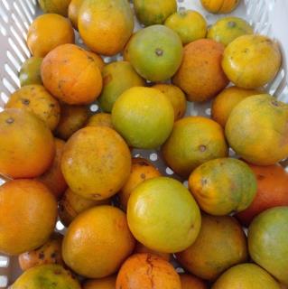 323329144_1681506918969662_3012704668264577069_n