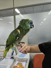 IMG-20240528-WA0100