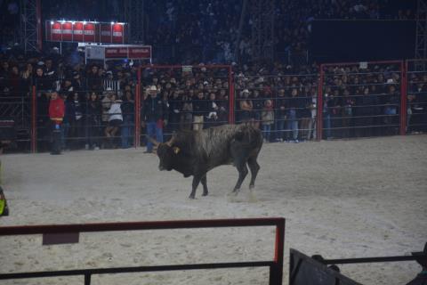 DSC_5028