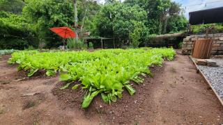 WhatsApp Image 2024-10-31 at 14.18.50 (25)